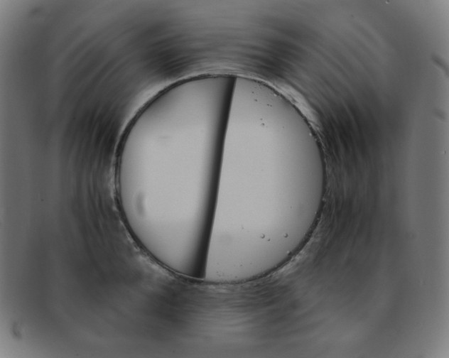 X0000091340904200708311453