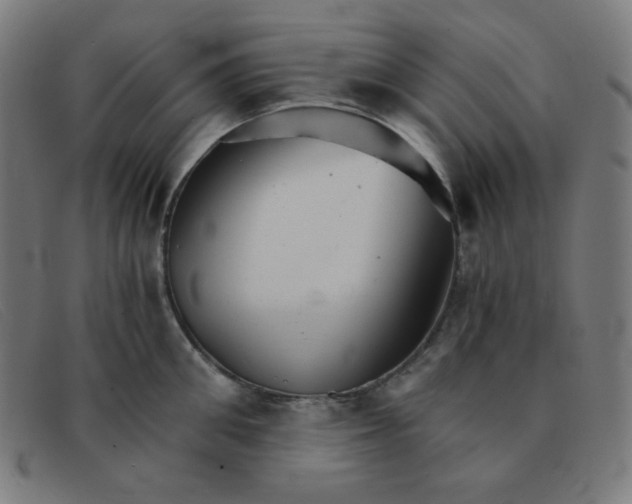 X0000091340906200708311453