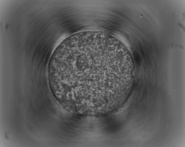 X0000091340907200708311453