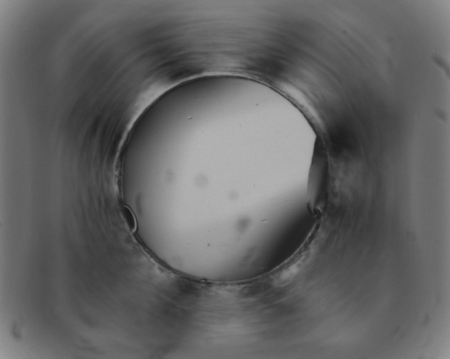 X0000091340908200708311453