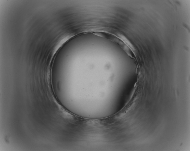 X0000091340909200708311453