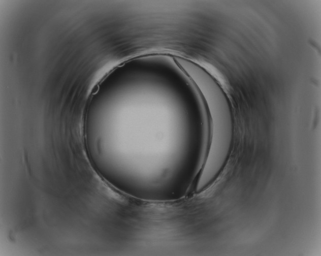 X0000091340910200708311453