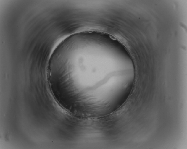 X0000091340912200708311453