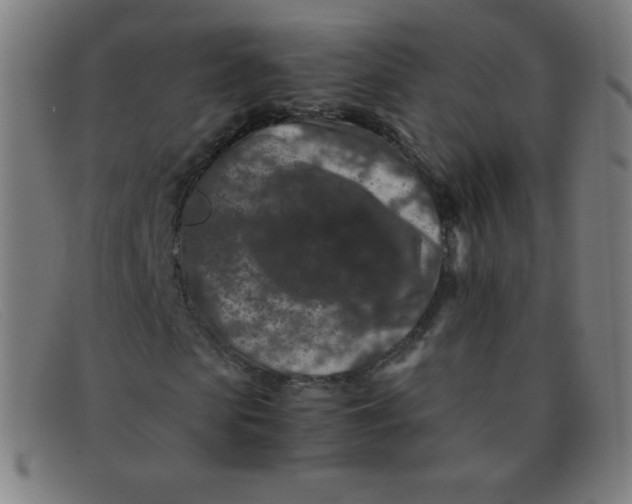 X0000091340913200708311453