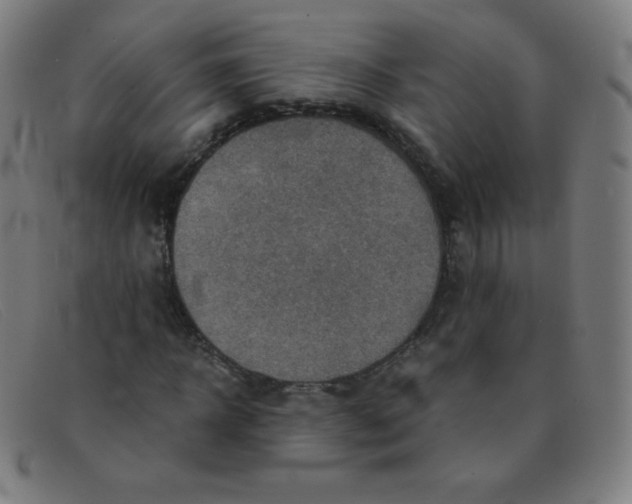 X0000091340918200708311453