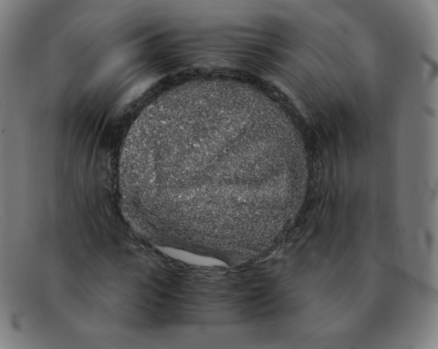 X0000091340919200708311453