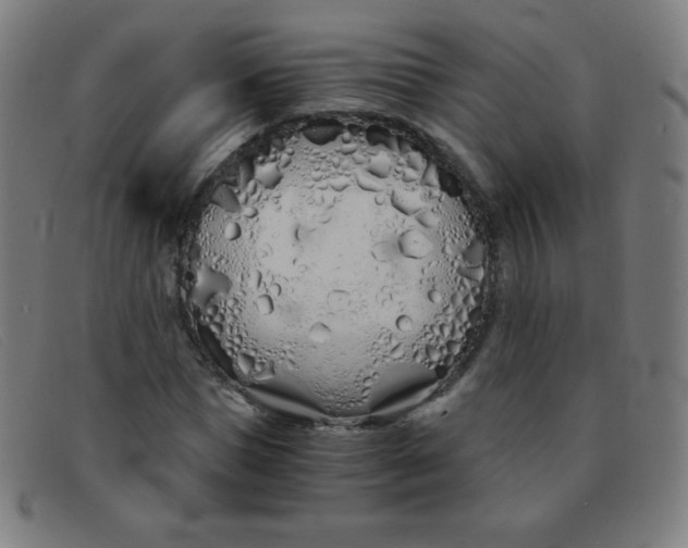 X0000091340921200708311453