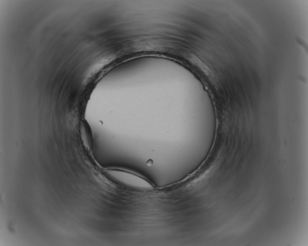 X0000091340922200708311453