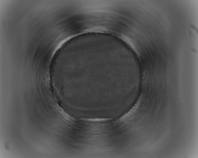 X0000091340923200708311453