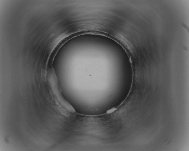 X0000091340924200708311453