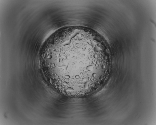 X0000091340925200708311453