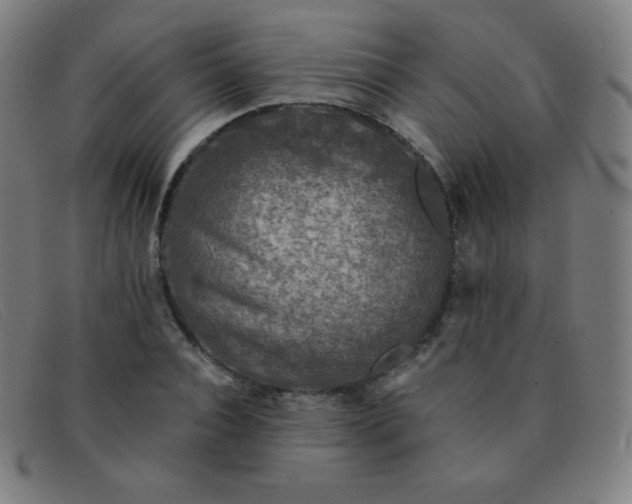 X0000091340928200708311453