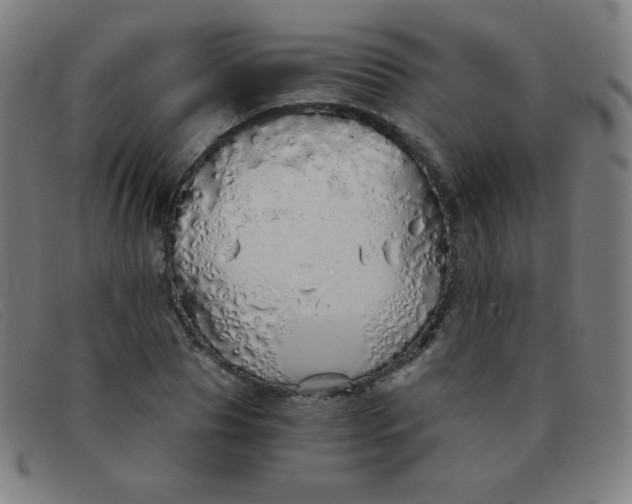 X0000091340929200708311453