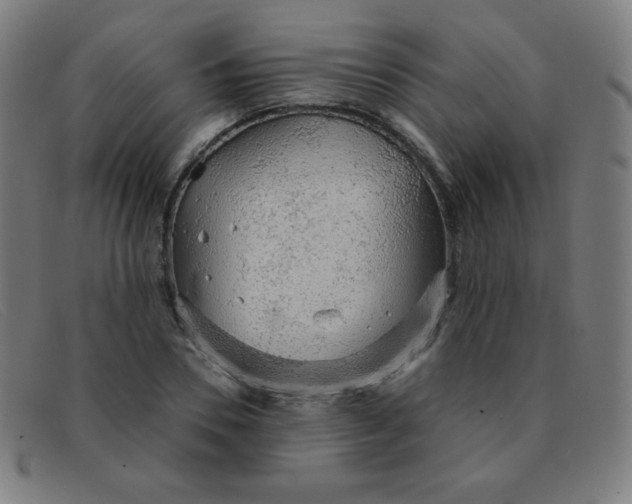 X0000091340930200708311453