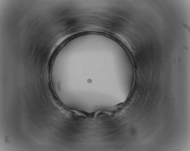 X0000091340931200708311453