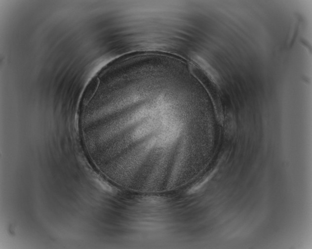 X0000091340932200708311453