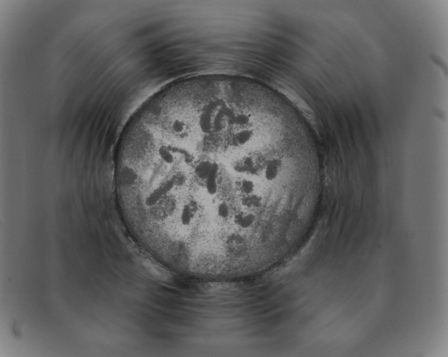 X0000091340933200708311453