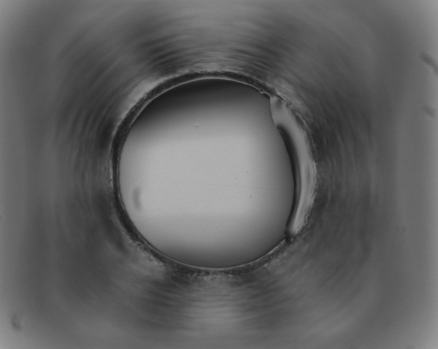 X0000091340934200708311453