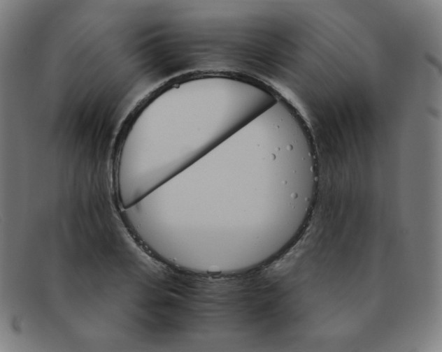 X0000091340935200708311453