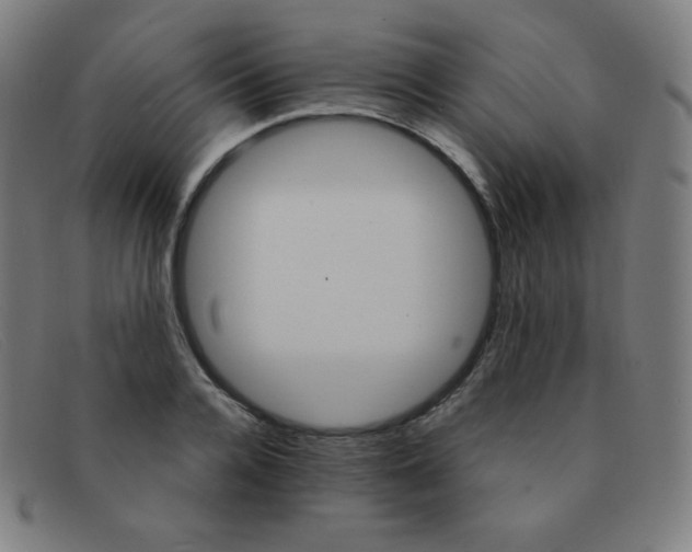 X0000091340936200708311453