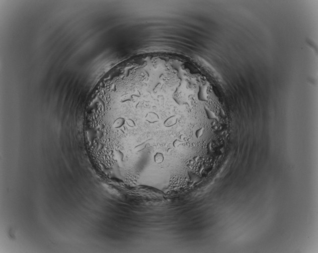 X0000091340937200708311453