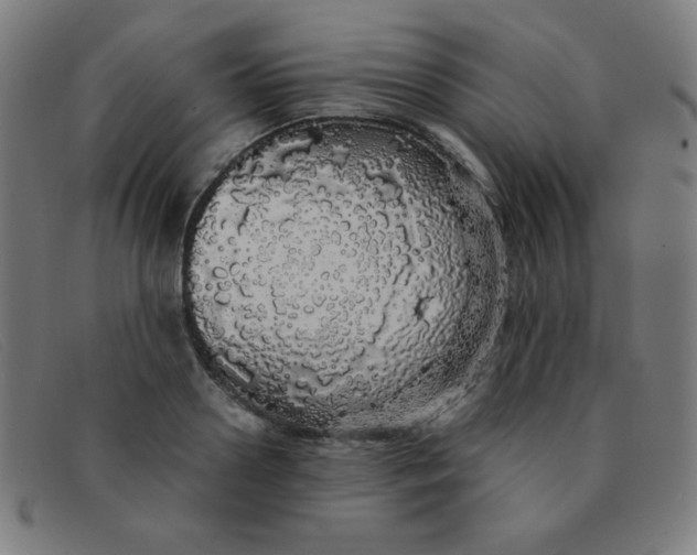 X0000091340938200708311453