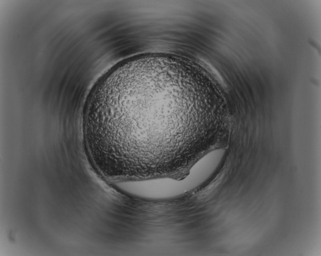 X0000091340939200708311453