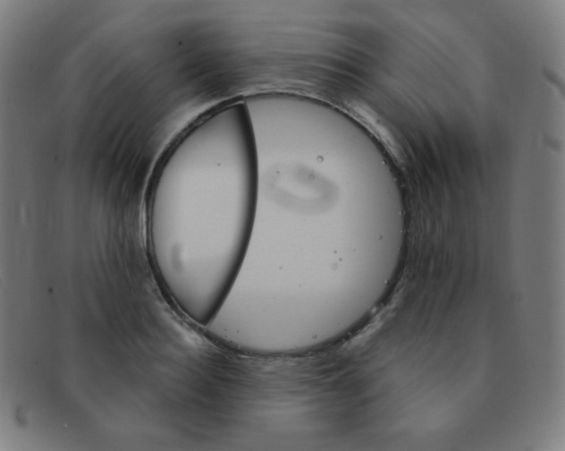 X0000091340940200708311453