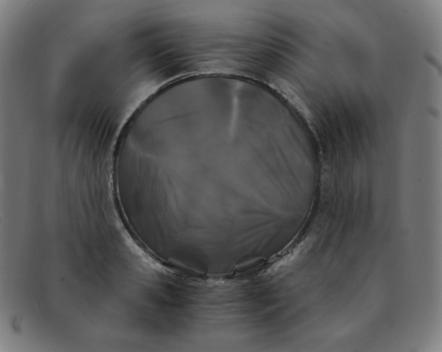 X0000091340941200708311453