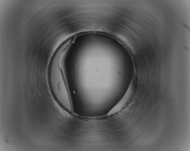 X0000091340942200708311453