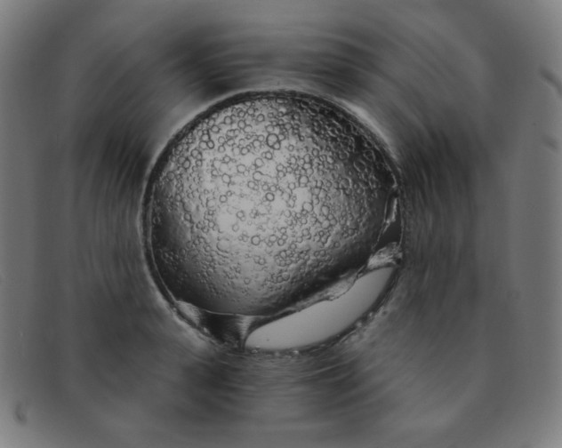 X0000091340943200708311453