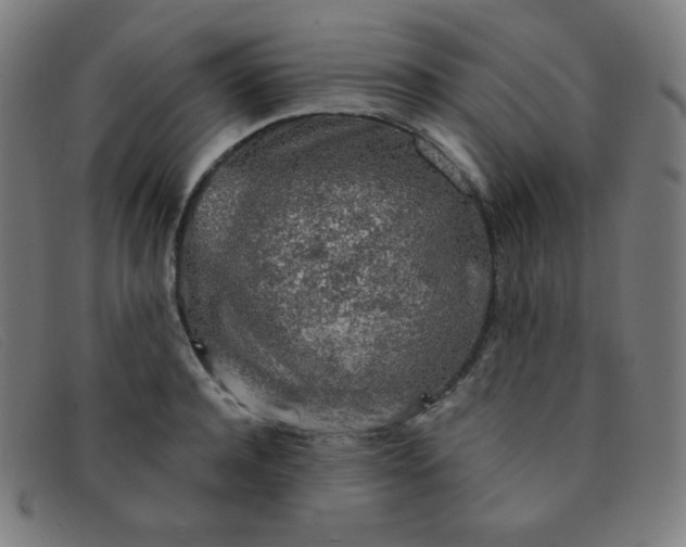 X0000091340944200708311453