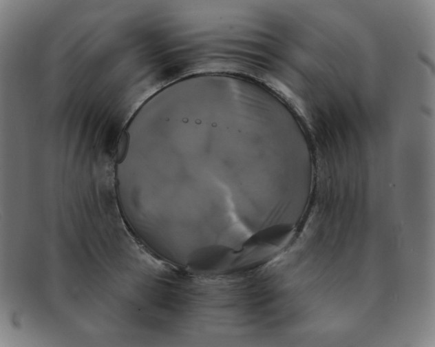 X0000091340945200708311453