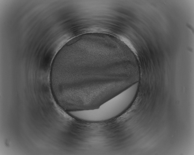 X0000091340946200708311453