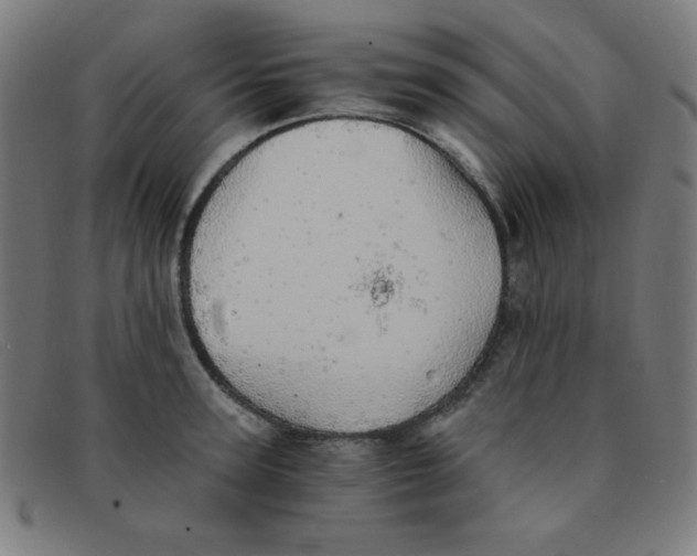 X0000091340947200708311453