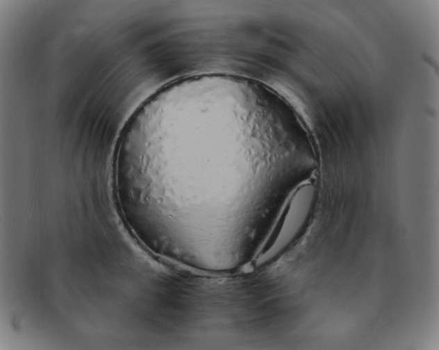 X0000091340949200708311453