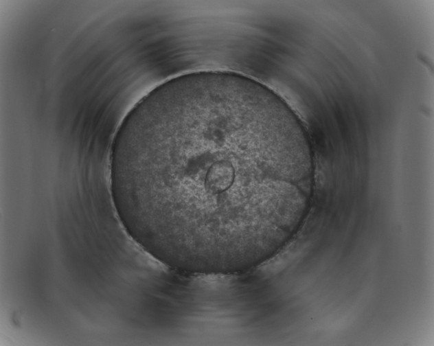 X0000091340950200708311453