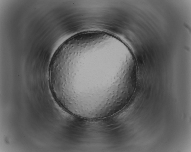 X0000091340951200708311453