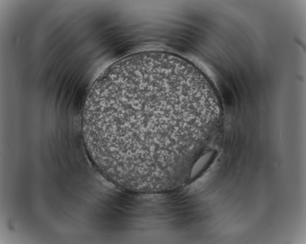 X0000091340953200708311453