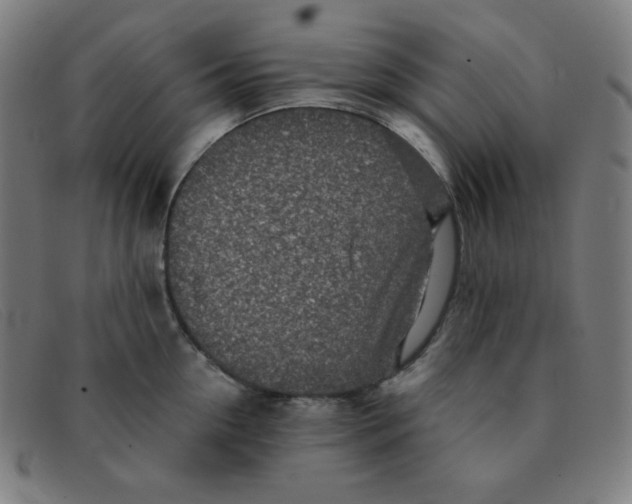 X0000091340954200708311453