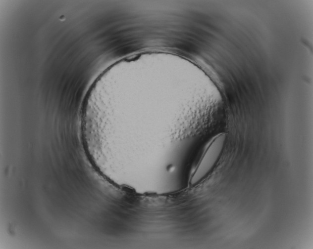 X0000091340955200708311453