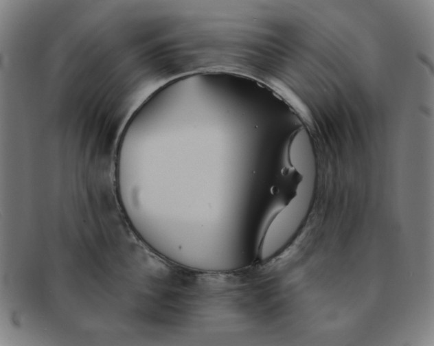 X0000091340956200708311453