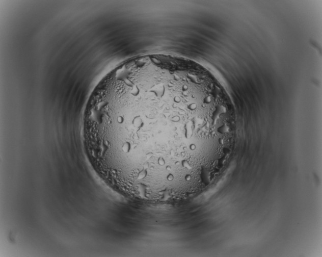 X0000091340957200708311453