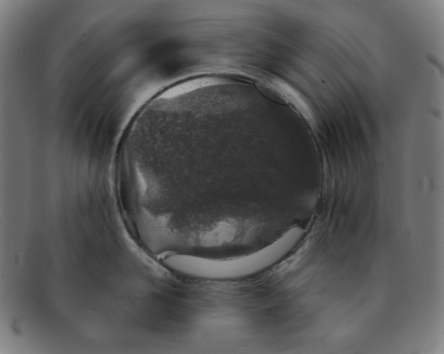 X0000091340958200708311453