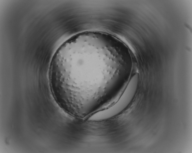 X0000091340959200708311453