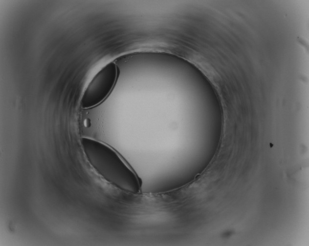 X0000091340960200708311453