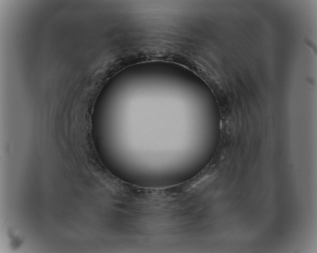 X0000091340961200708311453