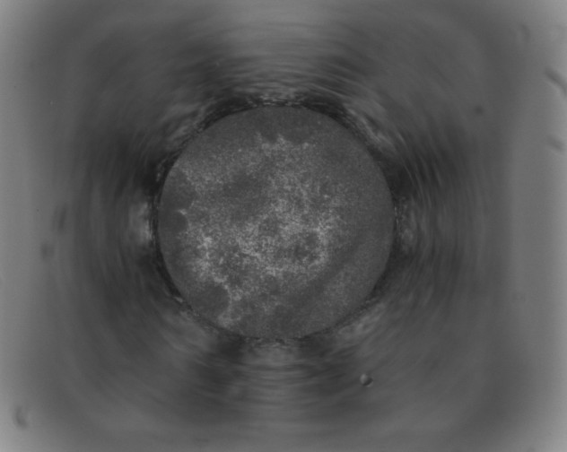 X0000091340962200708311453