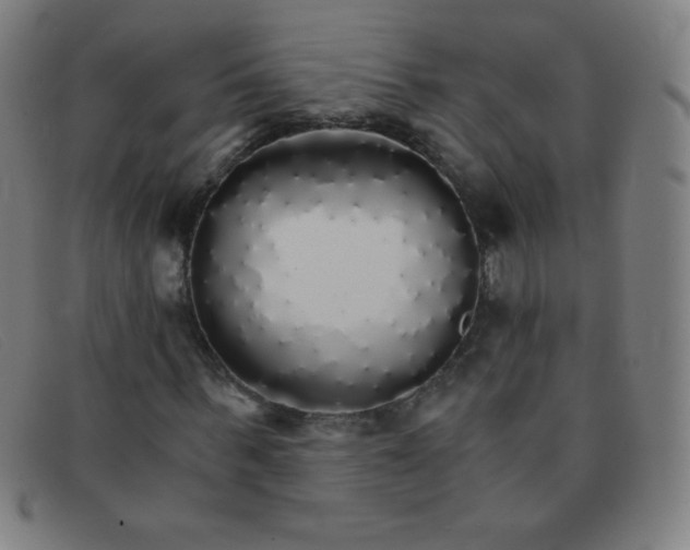 X0000091340963200708311453