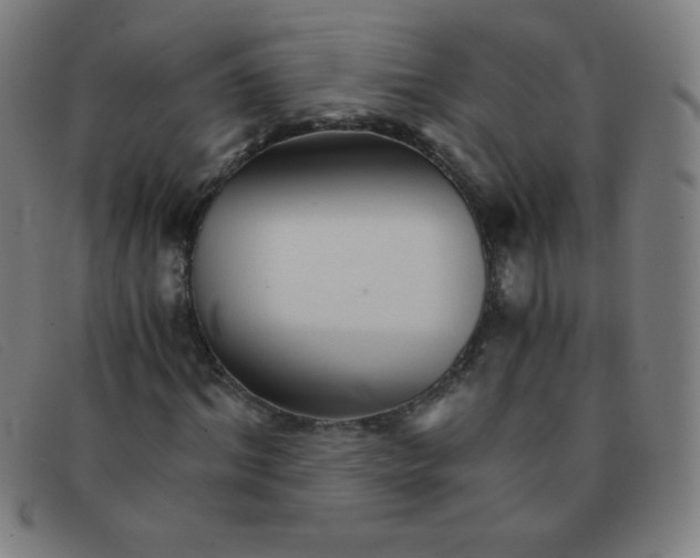 X0000091340964200708311453